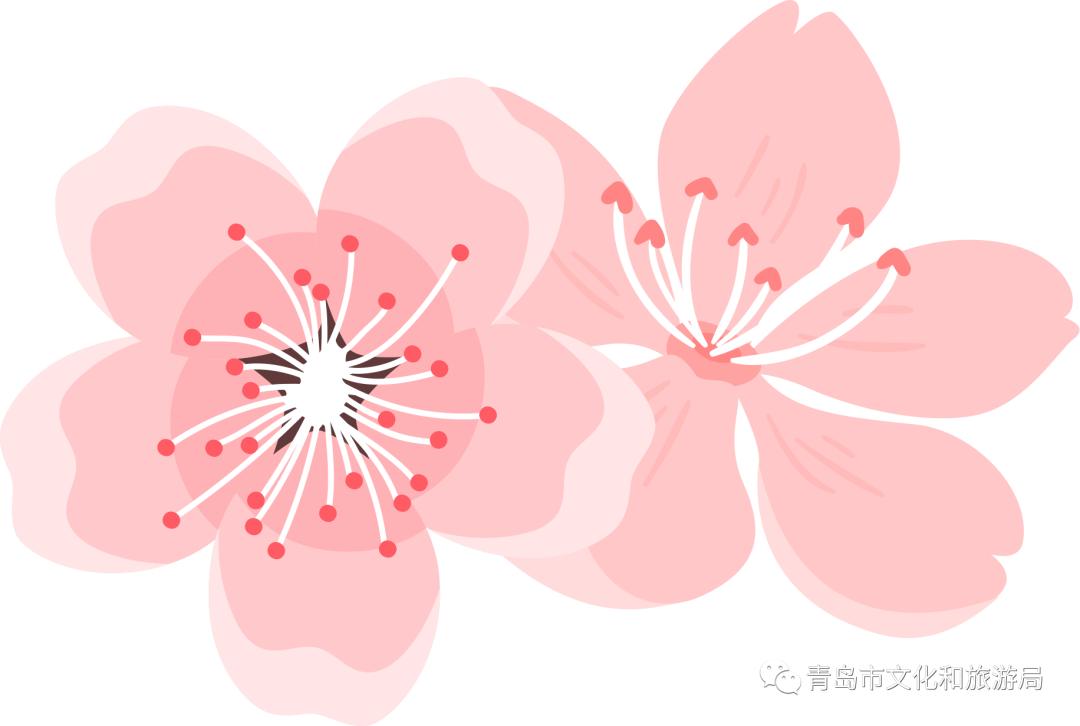 识花赏花学知识,赏花识花学知识