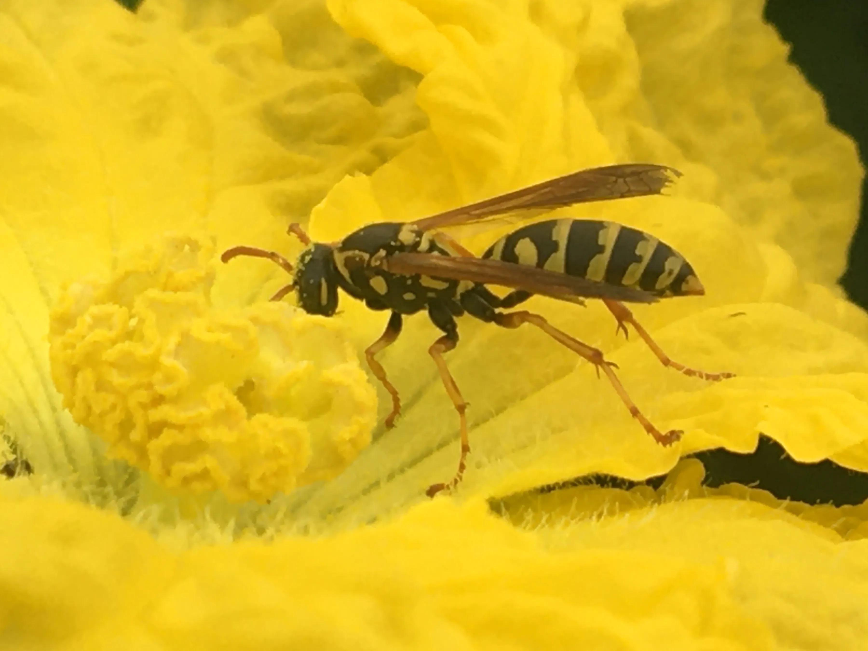 手机摄影手册圈友作品选第5期,手拍世界摄影交流平台