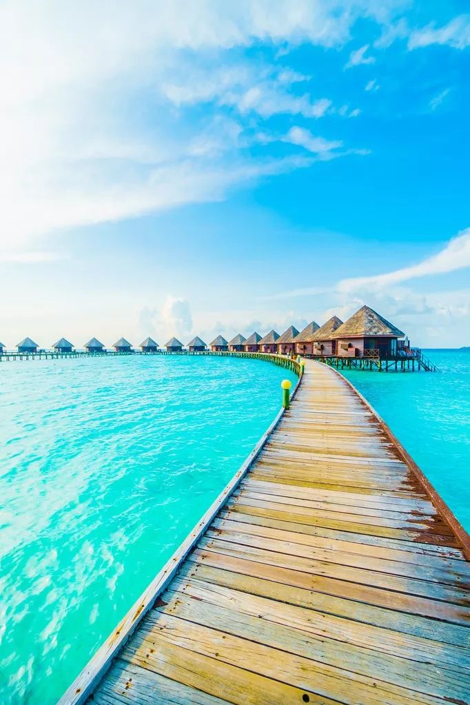 世界上最幸福的事400字,世界上最幸福的事情你做过几件