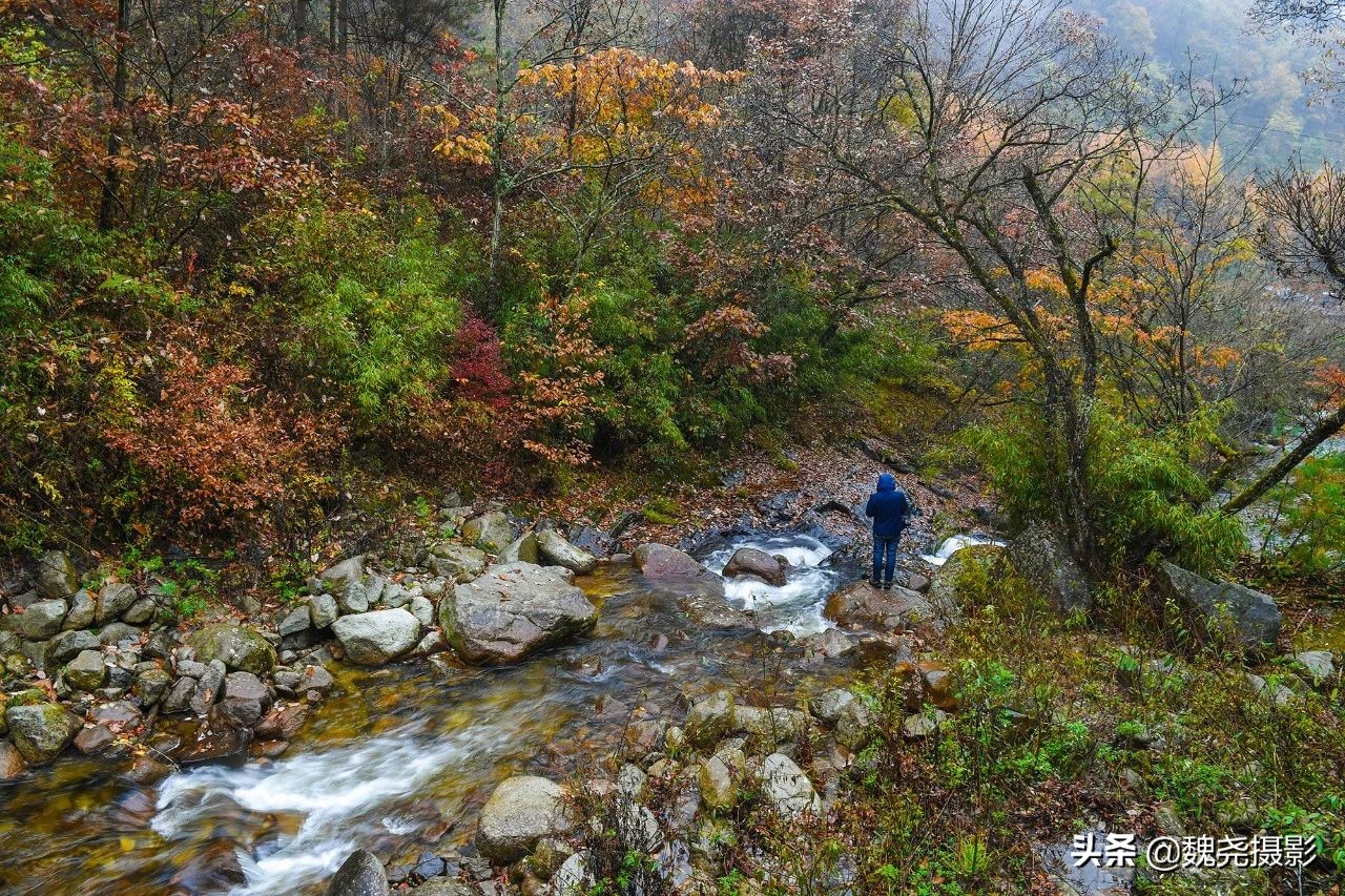 留坝秦岭之夜,留坝秦岭森林公园