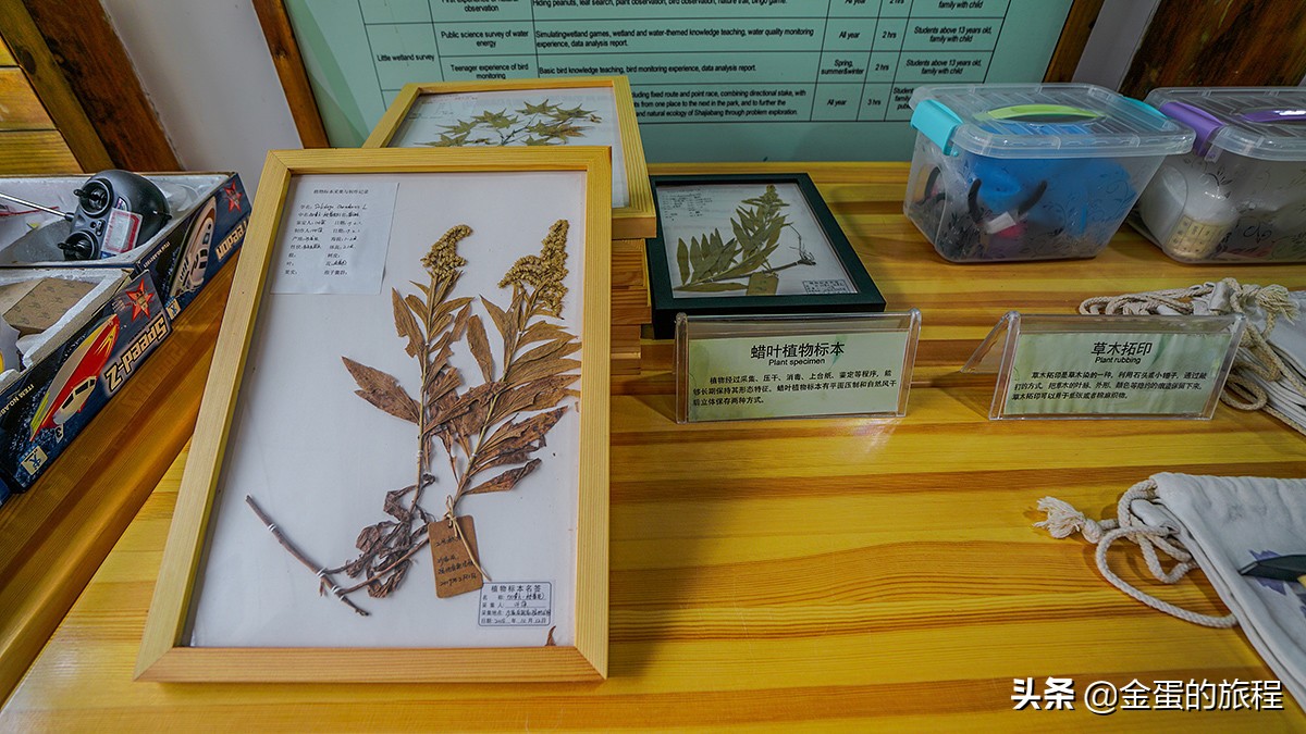 苏州旅游沙家浜,人人都知江南好下一句