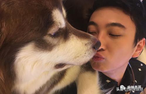 “国民老公”王思聪本质上就是头“恶狼”吧？