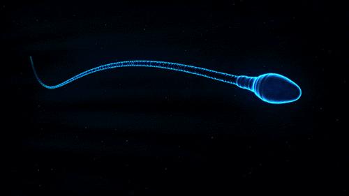 备孕时4招抓住排卵期好孕跑不掉,避开排卵期是不是就不容易怀孕