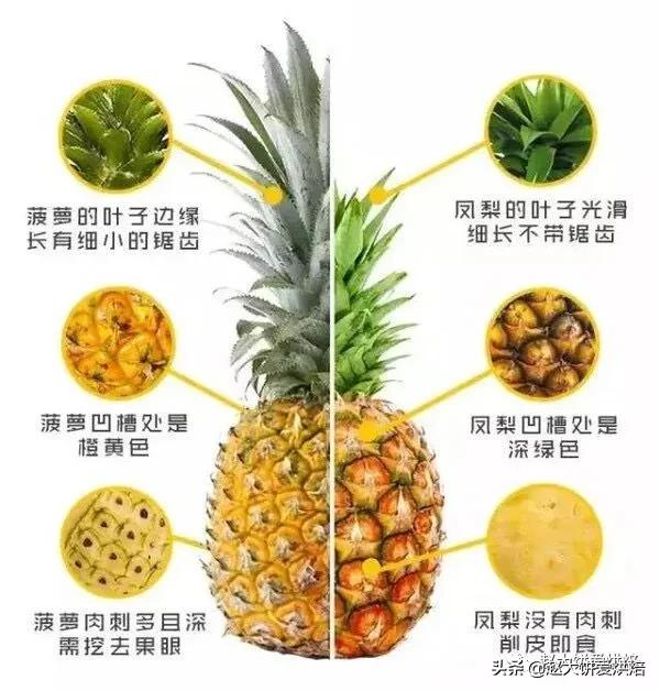 教你在家制作凤梨酥,自己做的凤梨酥也太好吃了吧