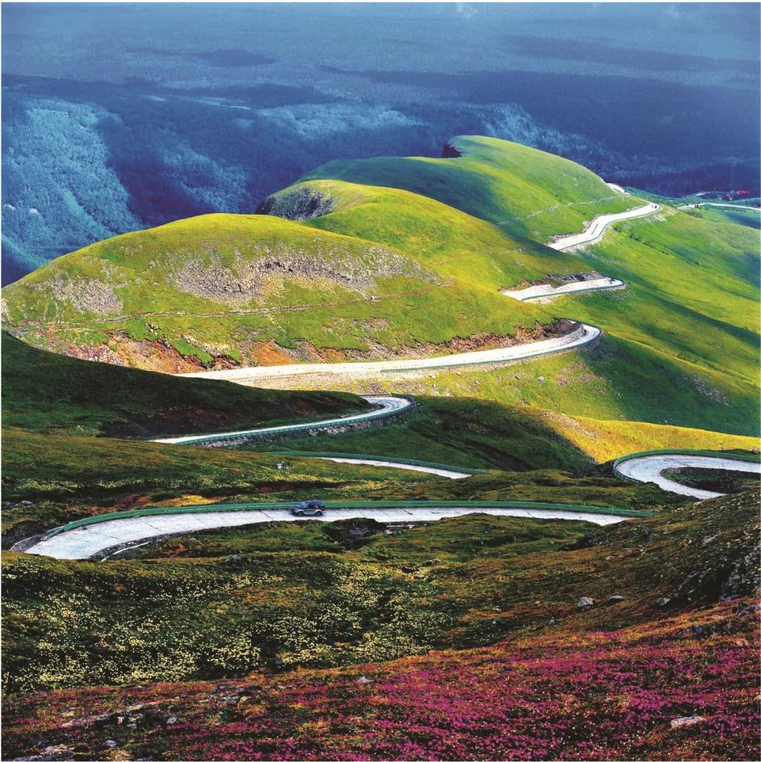 吉林人性格及处事方式,吉林人聪明的表现