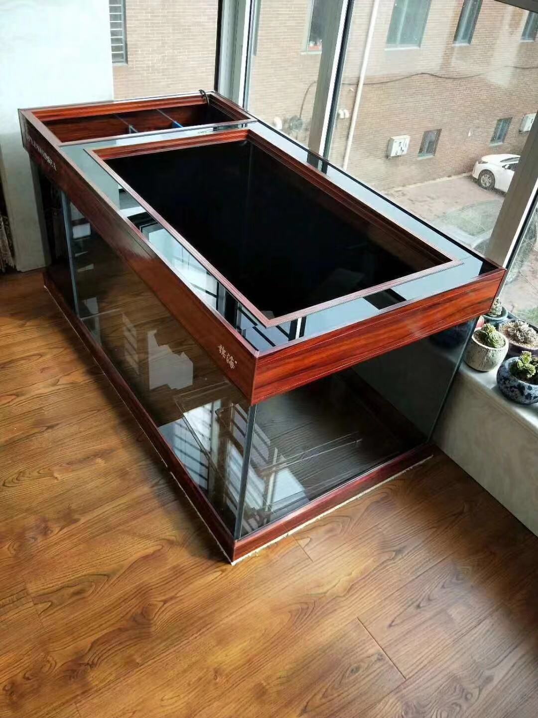 养鱼张哥最新视频,鱼缸怎么养锦鲤鱼最好