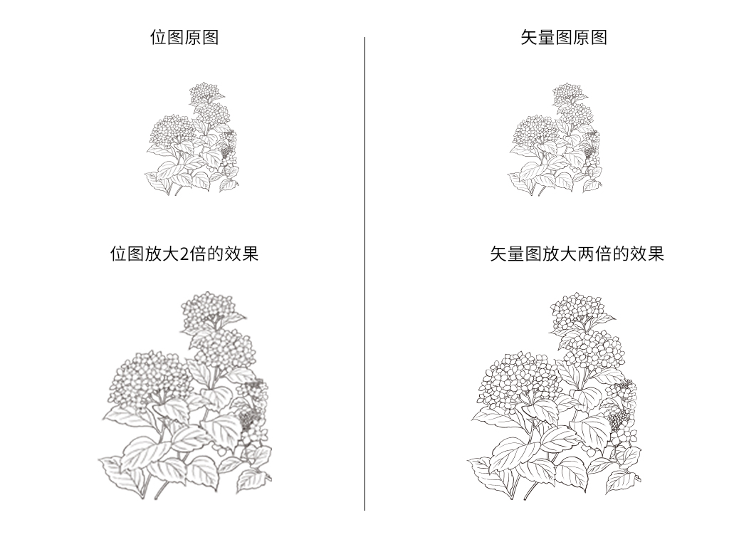 如何快速的学习PhotoshopCC2021，从小白变大神