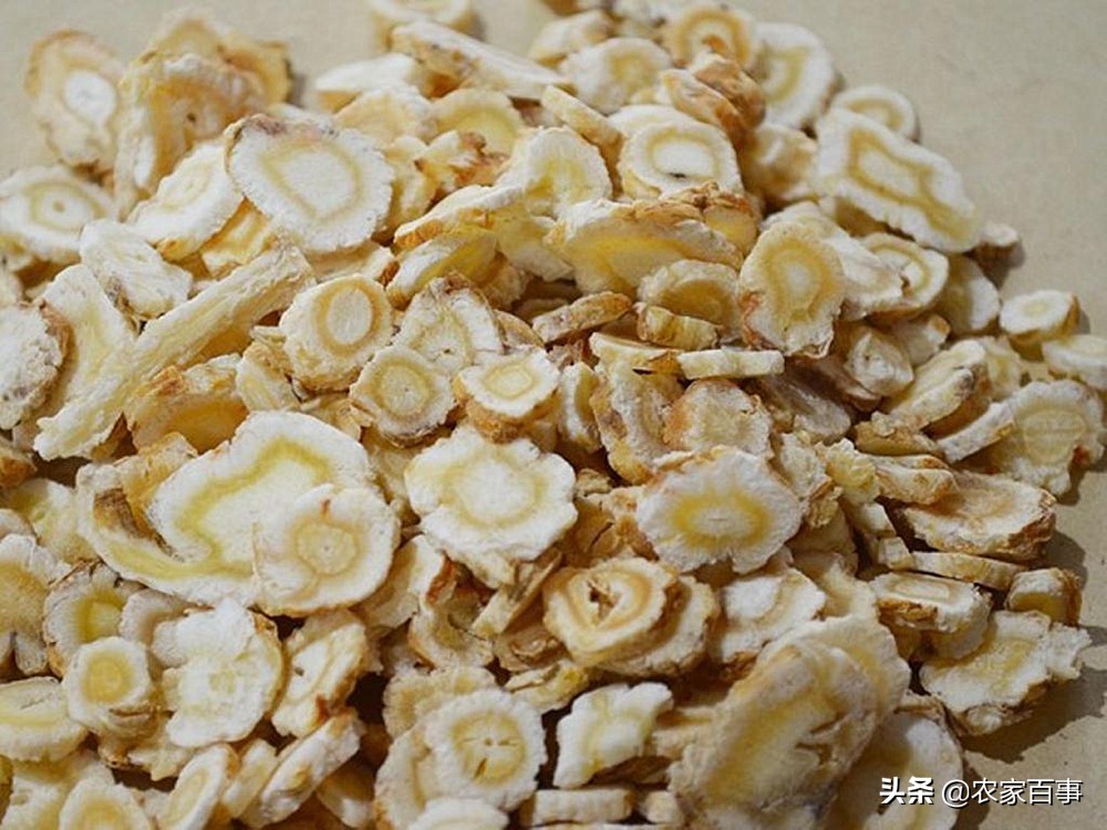 这种野草不值钱但它的根是稀罕货,有一种野草根部长得像人参