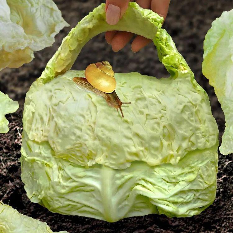 蔬菜中的爱马仕,爱马仕铂金包做法