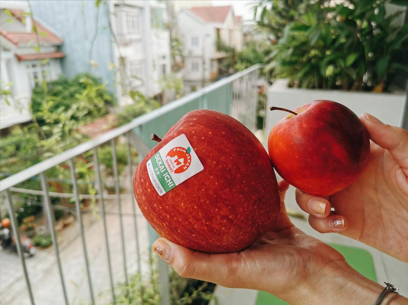 世界上最贵的水果前20种,世界最贵的水果是哪六种