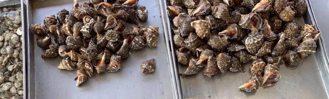 海螃蟹大量上市,威海海螃蟹价格