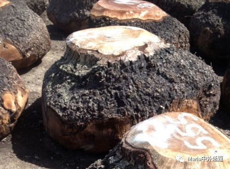 美国硬木干货价格,北美硬木排行