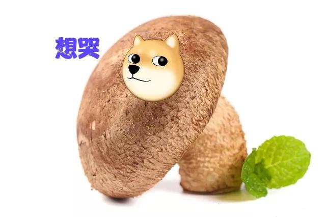 冬天饭菜保温神器哪种品牌好,保温神器冬天必备热菜