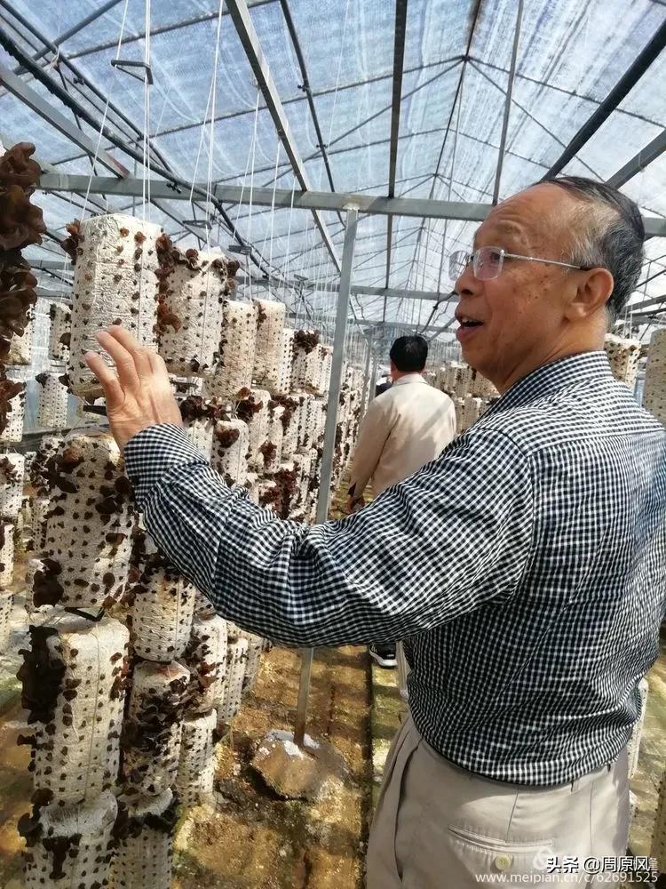 赴一场春日的邀约,五月赴一场与槐花的约会