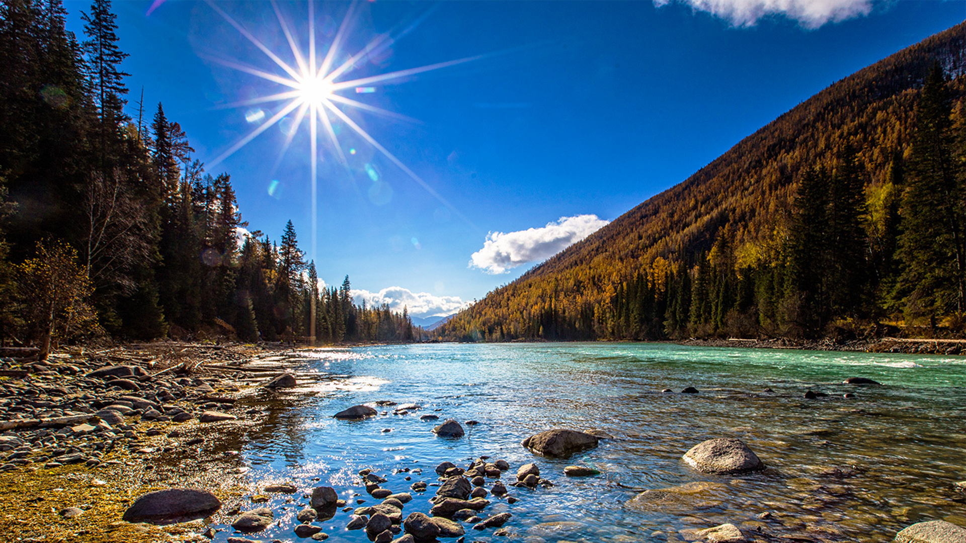 马丁塞利格曼幸福观点,马丁和塞利格曼的真实幸福