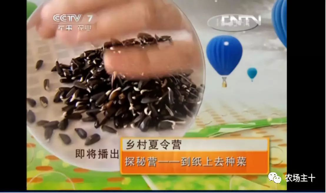 纸上种菜怎么赚钱,纸上种菜手把手教你