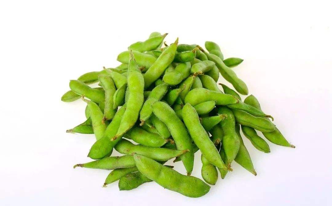 去上海迪士尼，一定要保护好你的水煮毛豆当心被翻走哟