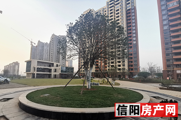 碧海名居银滩,碧海名居一楼