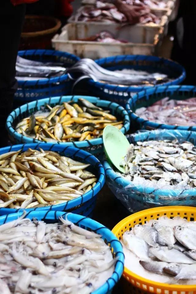 去厦门吹海风,来去厦门观光享受清凉的海风