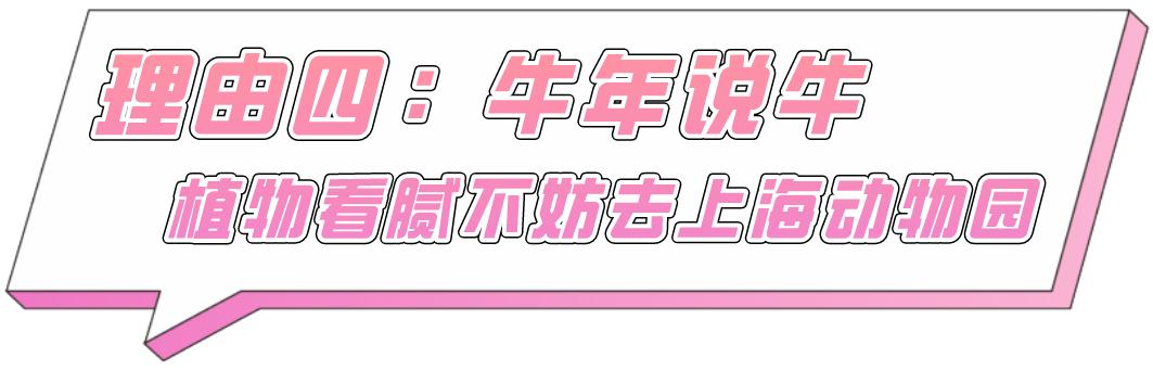 上海的热搜,最近热搜的上海