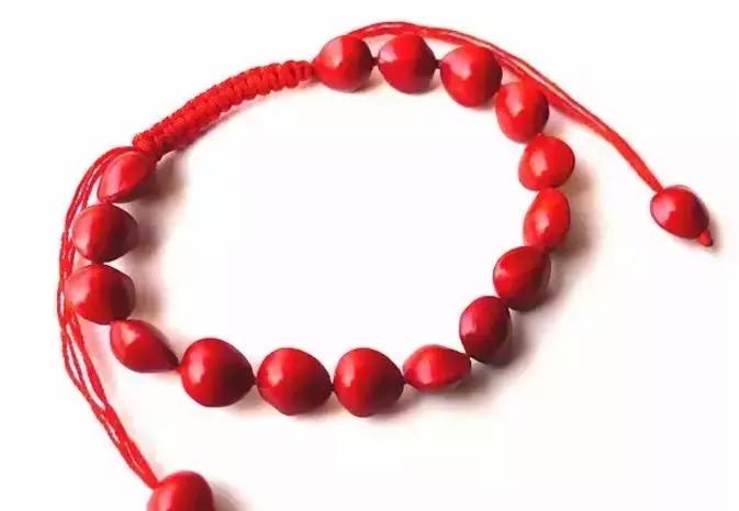 最全的菩提子图解太美了,最好的菩提子