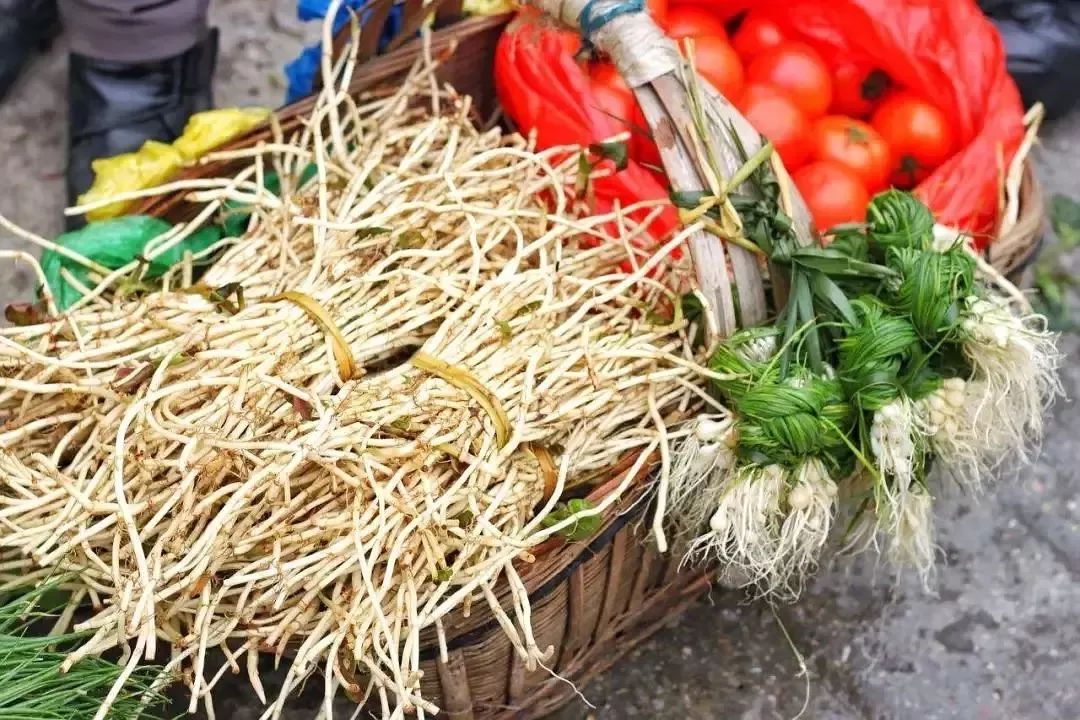 乡土散文折耳根,折耳根里的乡愁