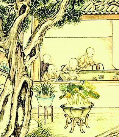 赏荷花情景教学,江南荷花开西湖赏荷寻味攻略