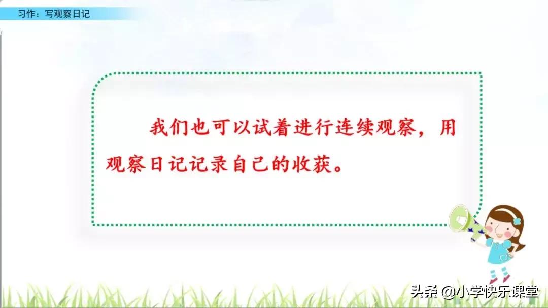 四年级语文第三单元观察日记作文,四年级观察日记400字优秀作文植物