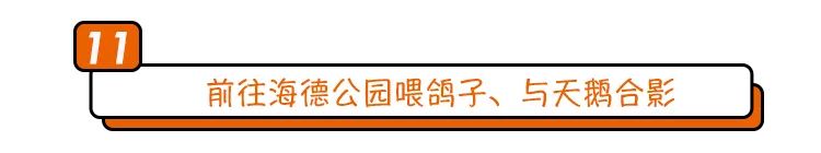 寻找幸运锦鲤活动在哪,寻找锦鲤