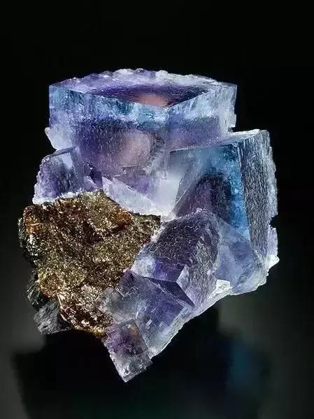 世界上令自己眸生情,见到后再也不爱别人的51个丽人