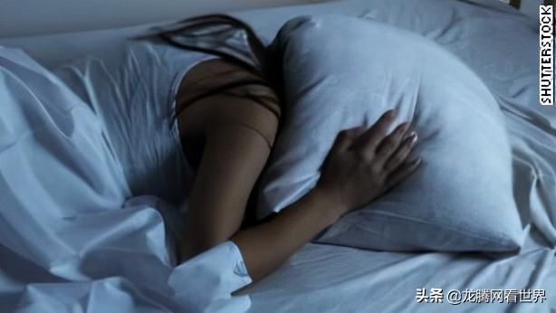 龙腾网如何生存,龙腾网参数