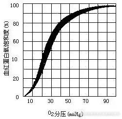 宠物医院检查血凝测什么,宠物心电监护的血压如何测