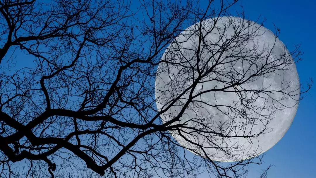 给我解释一下什么叫七情六欲,最诗意的回答七情六欲