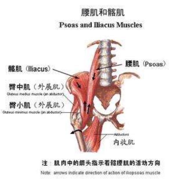 盆腔炎用针灸治疗效果好吗,针灸治疗盆腔炎