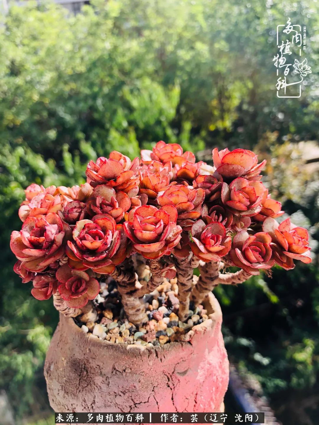 万物皆有灵性有因必有果,万物皆有灵性与生命