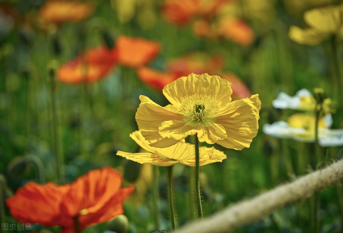何红雨最新视频,何红雨采访视频
