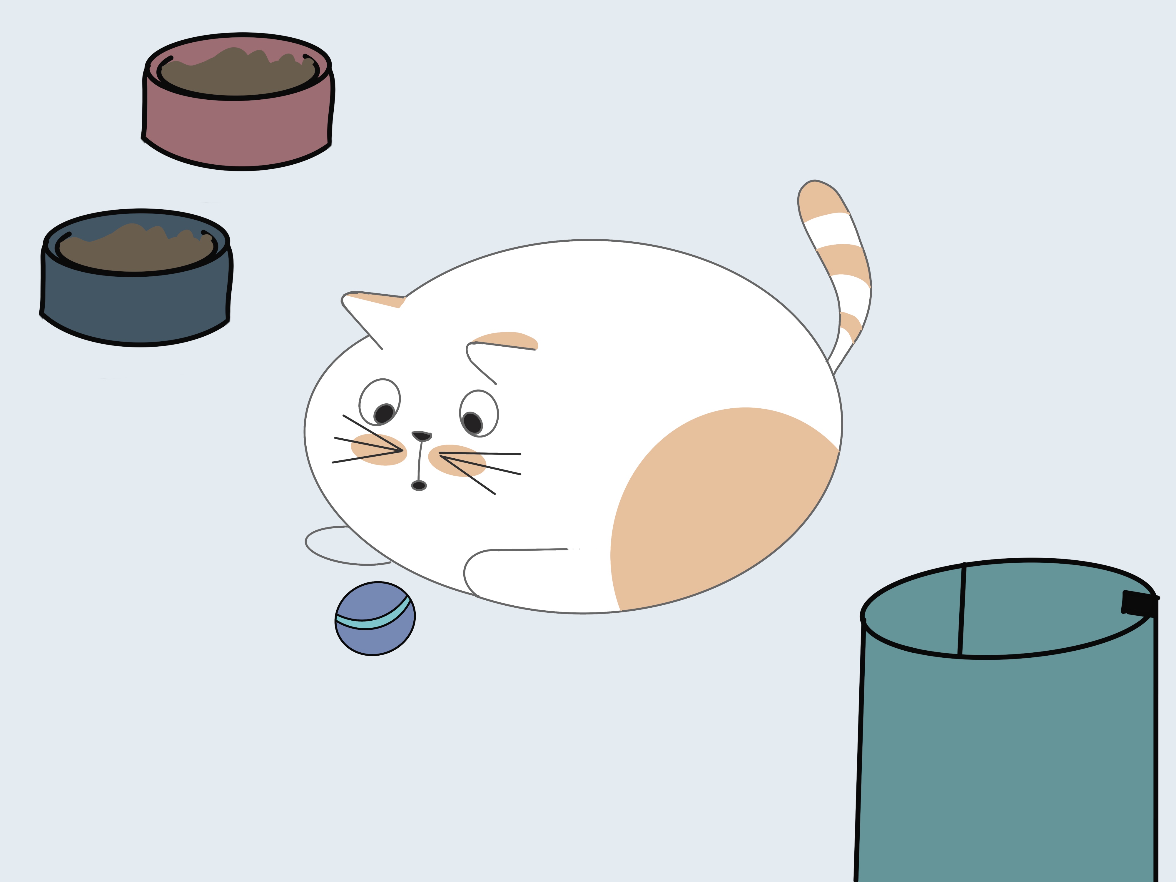 家里养猫怎么缓解猫的害怕,家猫特别害怕流浪猫怎么办