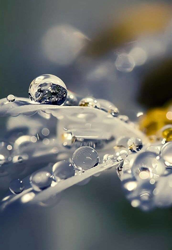 「节气变换」今日白露：露从今夜白，月是故乡明