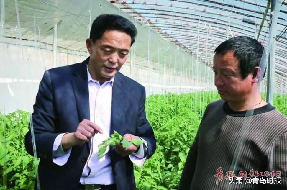 总书记批示鼓励的“科技特派员”，有一位是咱青岛人