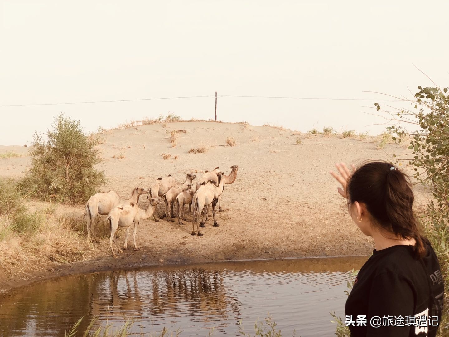 和田夜市和大美新疆哪个更好,和田旅游和田夜市