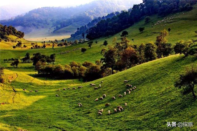 陕西省宝鸡市亿佳苑最新房价,陕西省宝鸡市太白县房价