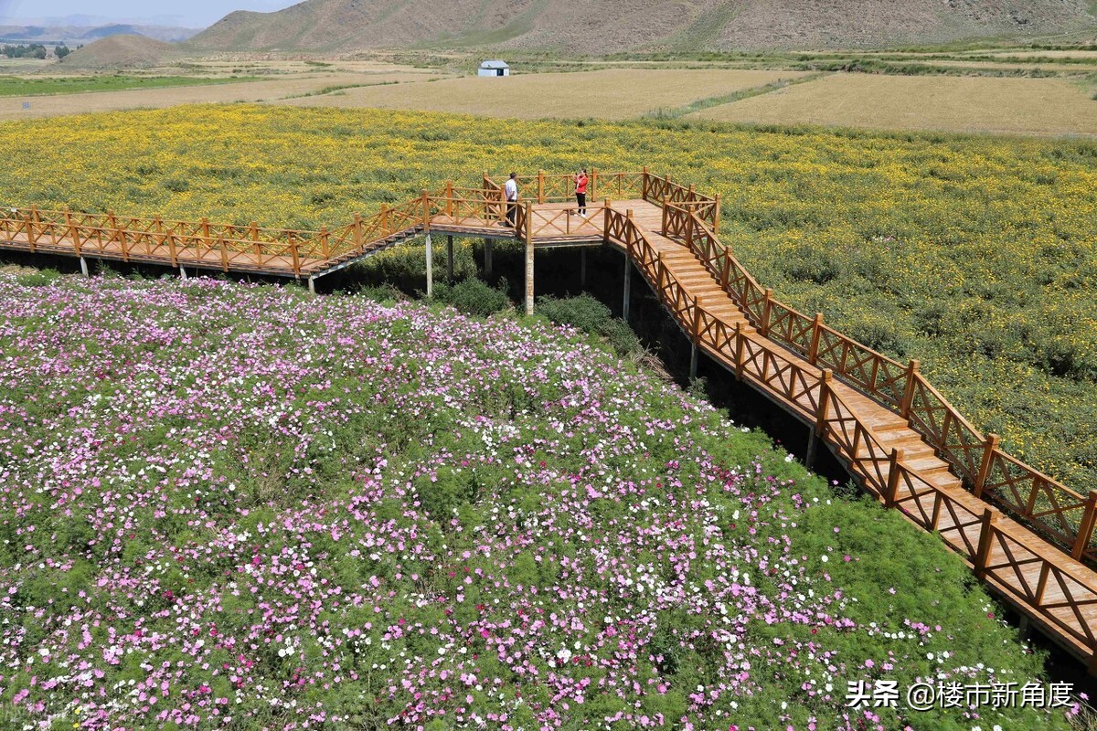 甘肃省金昌市的最新规划,甘肃沙漠城市