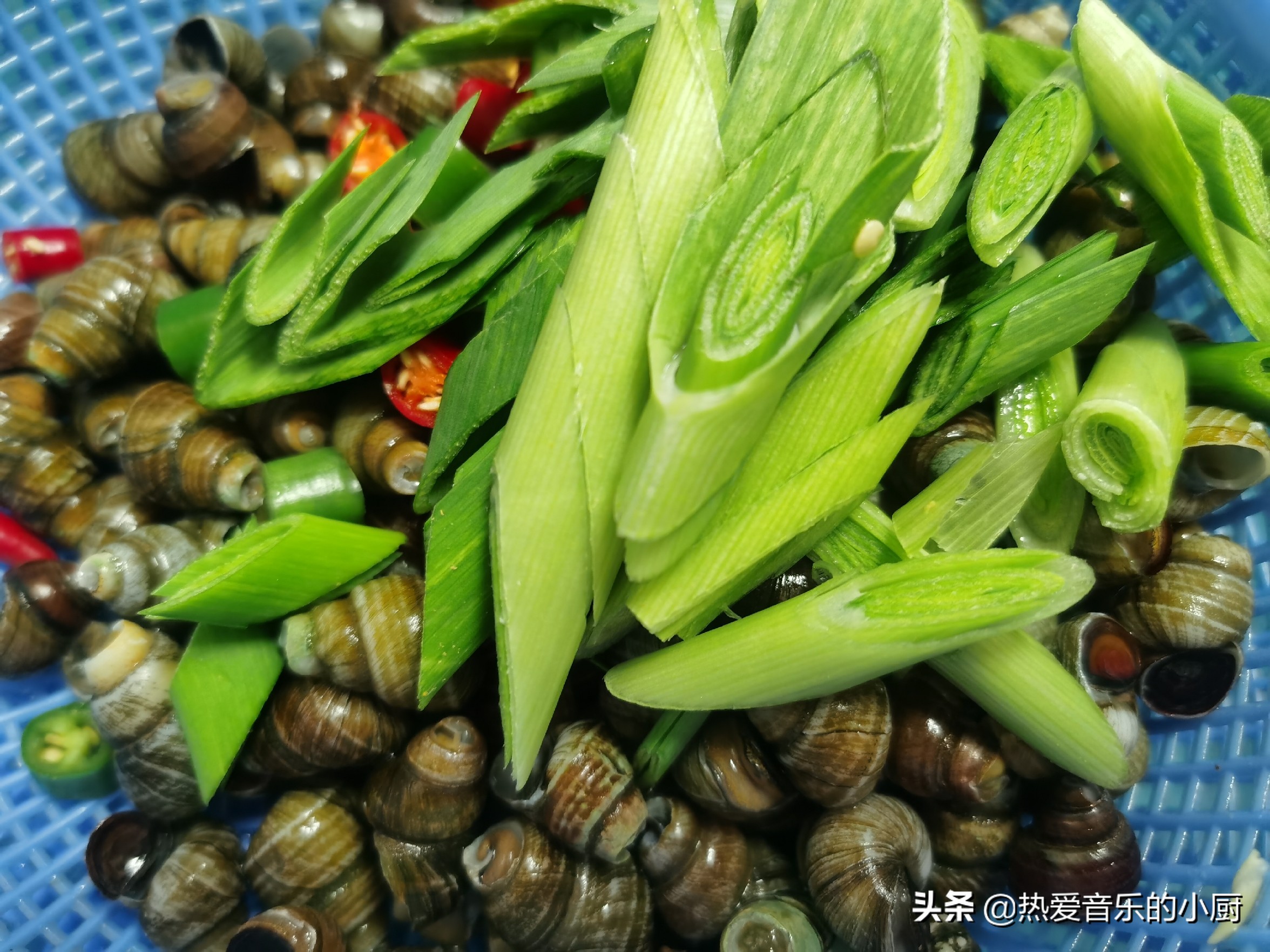 油焖田螺最正宗的做法,在家炒一份美味的田螺真的很简单