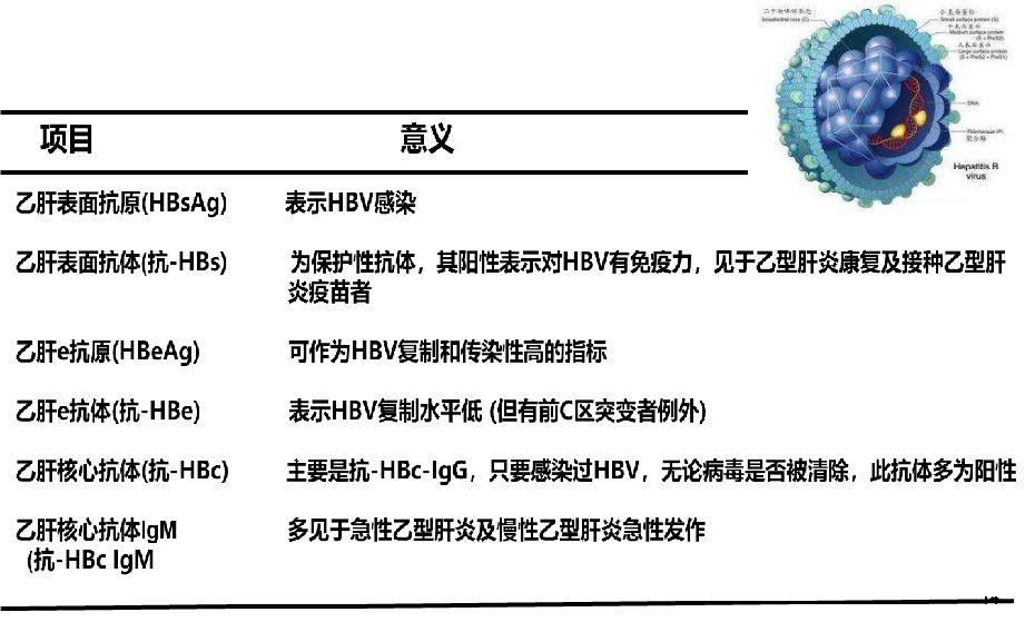 「肝胆好医生」南月敏教授-乙肝：可防、可控、不可怕