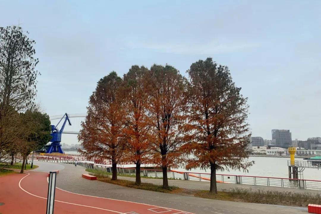 浦东世博滨江公园,浦东24小时不打烊