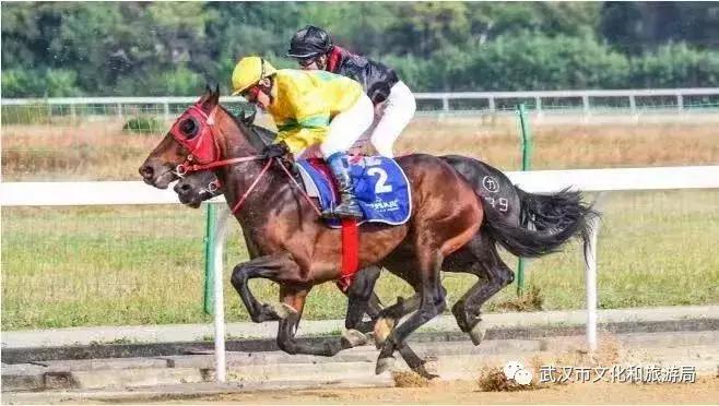 武汉国庆旅游攻略文案,武汉文旅国庆