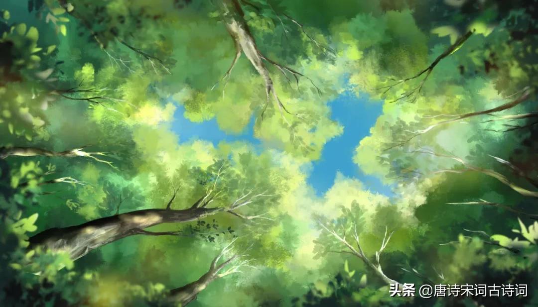 雨打梨花深闭门什么意思,雨打梨花深闭门歌曲