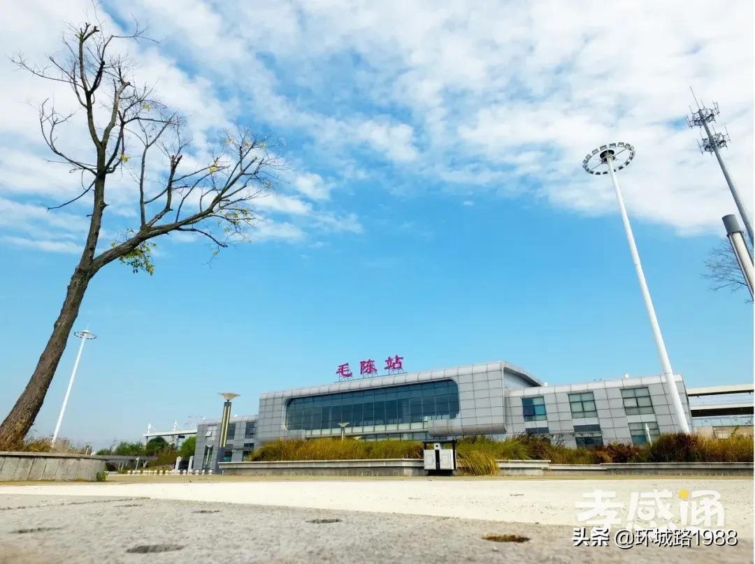 未来可期！向你展现不一样的毛陈