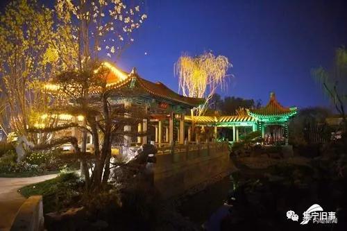 游记——彩云之南