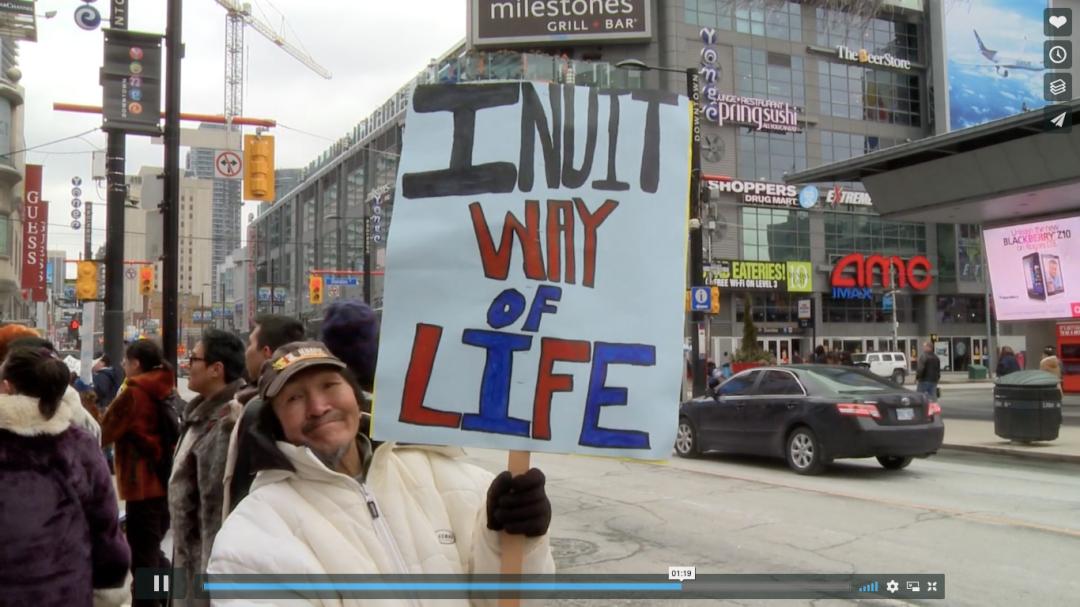 猎杀海豹，吃肉不吃素？！原住民们怒怼动保组织：站着说话不腰疼